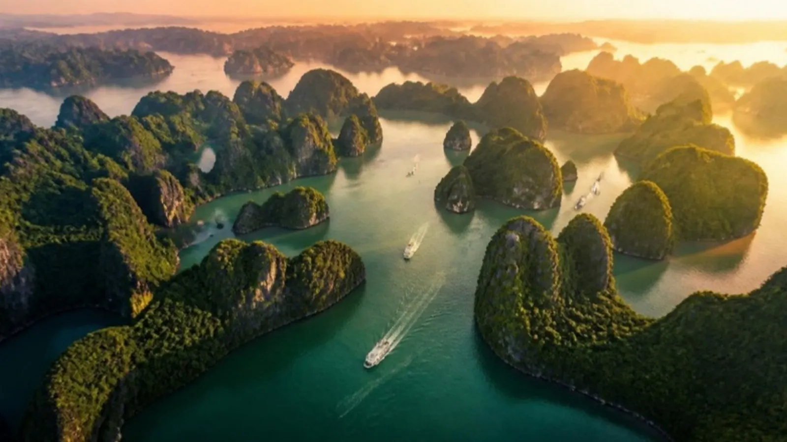 Seasonal collage of Vietnam: misty Ha Long Bay, golden Sapa rice terraces and sunny Phu Quoc beach
