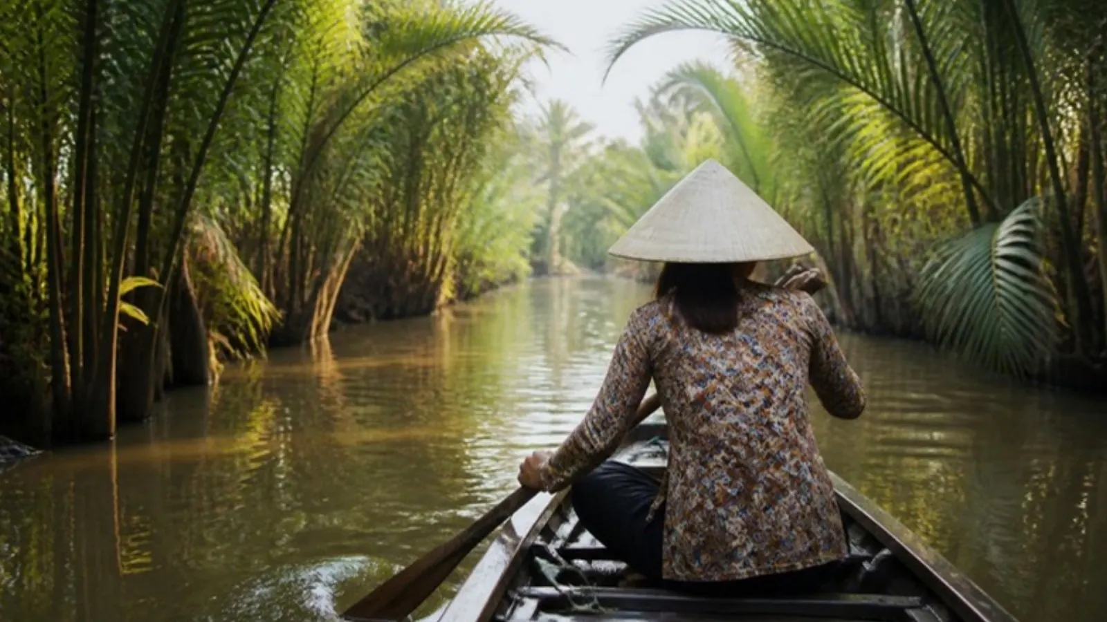 Sampan gliding through a coconut-palm canal