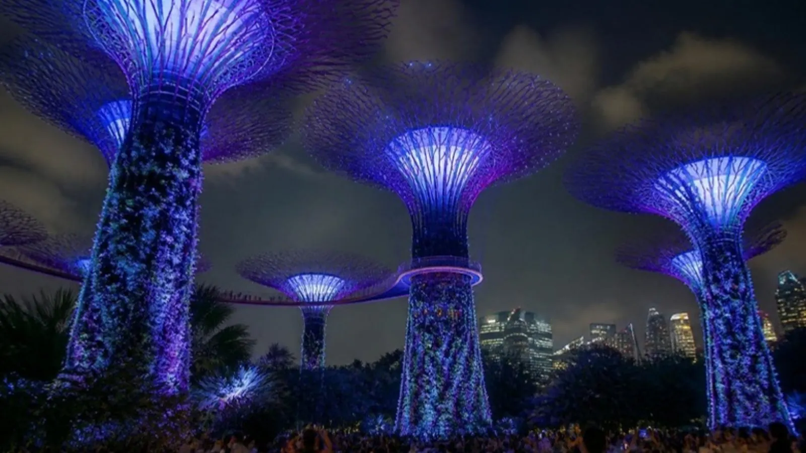 Supertree Grove light show, Gardens by the Bay